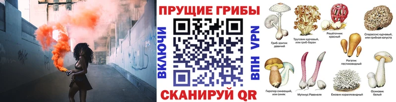 где купить наркоту  Кандалакша  Галлюциногенные грибы GOLDEN TEACHER 