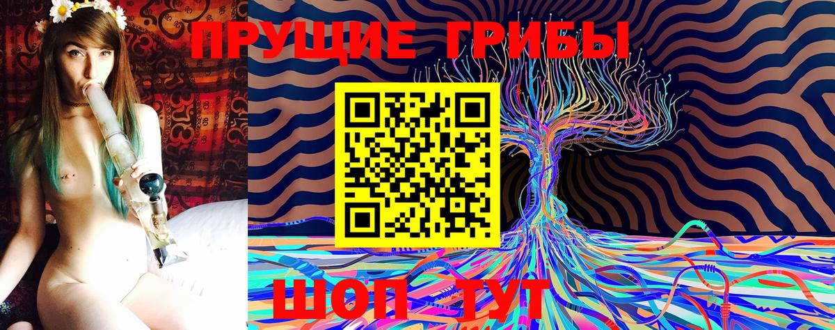 Галлюциногенные грибы Psilocybine cubensis  Вход с VPN  Кандалакша 